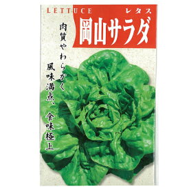 レタス 種 【 岡山サラダ菜 】 種子 小袋（約20ml） （ 種 野菜 野菜種子 野菜種 ）