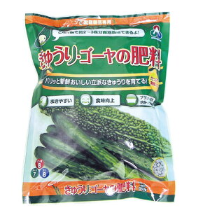 |pi 엿 y イ S[̔엿 550g z ƒ؉ K[fjOɂ߂̎ށ