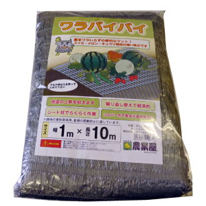 y~ƂJ^! zoCoC (TCY:1m×10m)