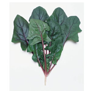 zE\E  y T_ z q ܁i1dlj i   ؎q ؎ j