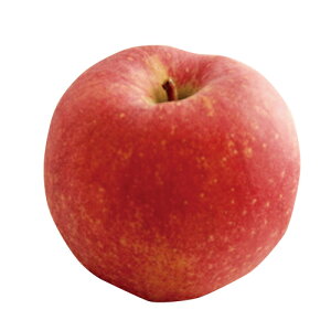 ʎc ь y E i  j 1Nc z [  S ʎc ̔ ]