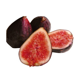 ʎc C`WN y rI[E\GX1Nc z [ ԉ  ʎc ̔ ]