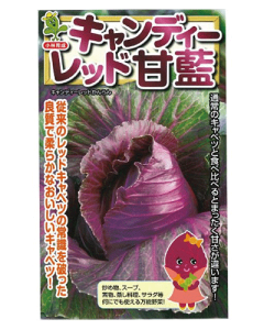 LfB[bh(Lxc̎)  yqi؁j ̔z