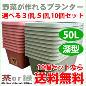楽天市場 資材 プランター 鉢 菜園プランター710型 菜園くらぶ 家庭菜園の専門店