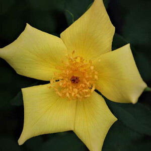 oc (\̔) yV̐z 2N劔c 4 ito_[Yj