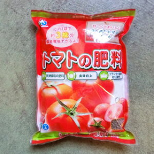 |pi 엿 y g}g̔엿 550g z ƒ؉ K[fjOɂ߂̎ށ