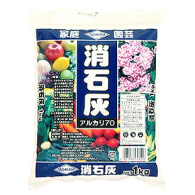 消石灰 1kg