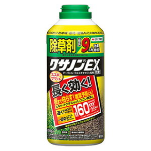 ������ �y�N�T�m��DX���� 800g�z