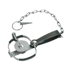 Ctype No.301 1 C^Cv No.301 gbv ߊl   hqY
