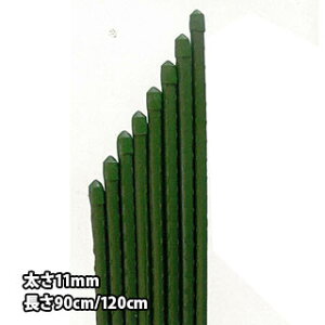 C{tx 11mmx90cm/120cm 100{ ~h