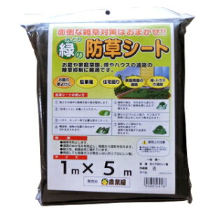 hV[g 1m×5miΐFj[ G΍ Gh~ ̔ ƒ؉ ]