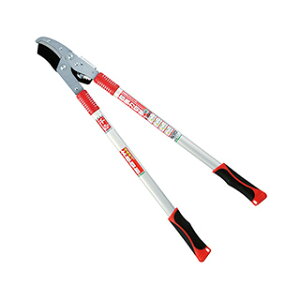 g `Fbg} SGFL-3 ͂ oT~ ͂