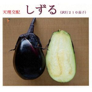 Ȃ  yz 50 i   ؎q ؎ j