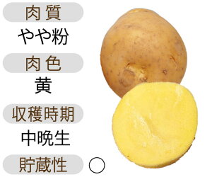 ながさき黄金