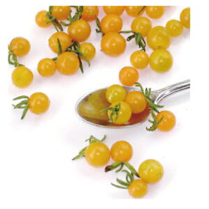 }CNg}g  yCG[gp[Yz  i   ؎q ؎ j