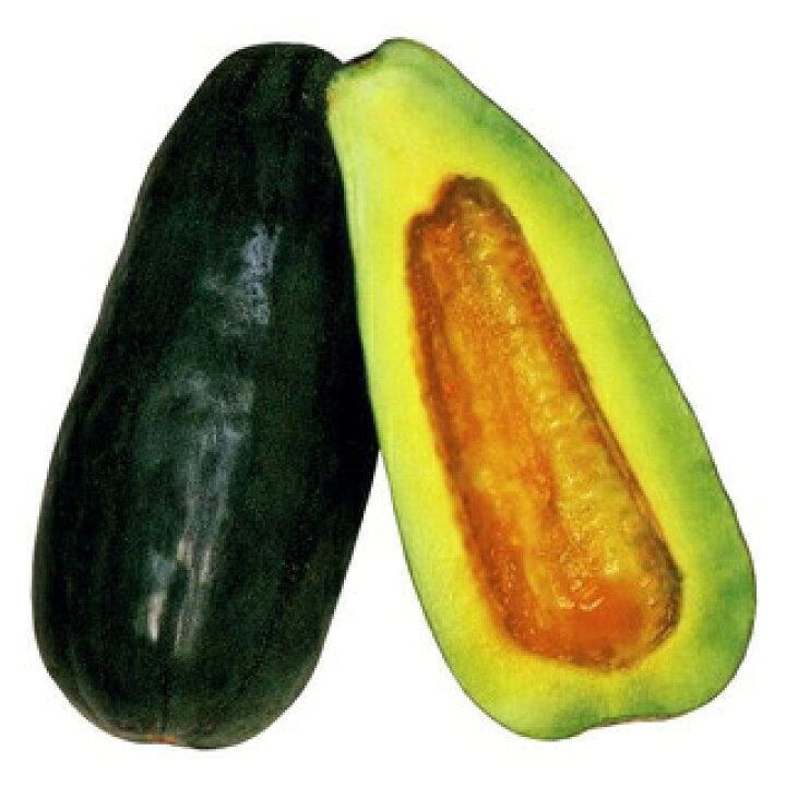 楽天市場 ウリ苗 黒ウリ 苗 4本セット ウリ苗 予約販売 まくわ瓜 野菜 苗 通販 野菜苗 販売 菜園くらぶ 家庭菜園の専門店 楽天市場 ウリ苗 黒ウリ 苗 4本セット ウリ苗 予約販売 まくわ瓜 野菜 苗 通販 野菜苗 販売 菜園くらぶ 家庭菜園の専門店