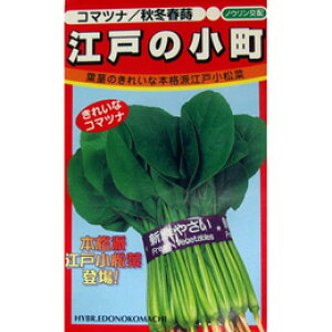   y]˂̏z ܁i10mlj i   ؎q ؎ j