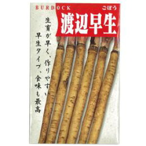 ڂ  ynӑz ܁i10mlj i   ؎q ؎ j