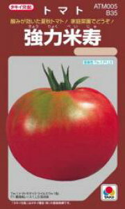 ��ʃg�}�g �� �y ���͕Ď� �z ����(58��) ( ��ʃg�}�g�̎� )