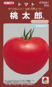 ��ʃg�}�g �� �y �����Y �z ����(35��) ( ��ʃg�}�g�̎� )