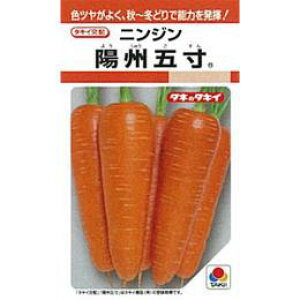 �j���W�� �� �y �z�B�ܐ� �z ����(RF 7ml) ( �j���W���̎� )