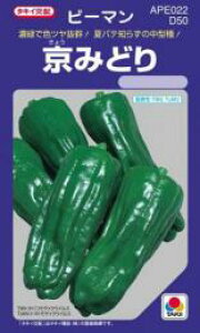 s[}  y ݂ǂ z (65) ( s[}̎ )