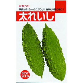 ゴーヤ 種 【太レイシ】 15ml （ 種 野菜 野菜種子 野菜種 ）