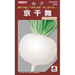 カブ 種 【 京千舞RF 】 小袋(RF 2.2ml) ( カブの種 )