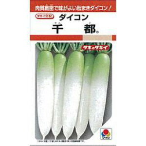 大根 種 【 千都 】 小袋(RF 4.5ml) ( 大根の種 )
