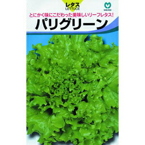 ^X  ypO[z ybg40 i   ؎q ؎ j