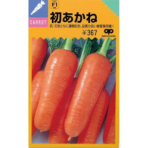 ɂ񂶂  y  z q 2dl i   ؎q ؎ j