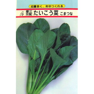   y ؂܂ z ܁i5mlj ( ؂̎ )