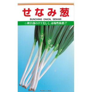 lM  y Ȃ z q ܁i20mlj i   ؎q ؎ j