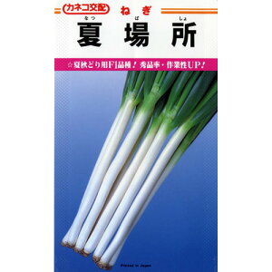 lM  y ďꏊ z q ܁i20mlj i   ؎q ؎ j