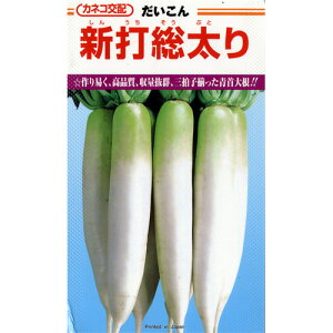 卪  y Vő z q ܁i20mlj i   ؎q ؎ j