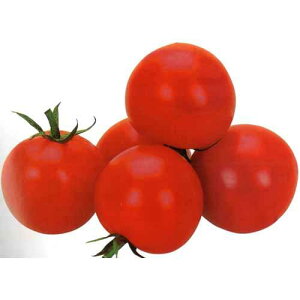 g}g  ybh{[Cz 1,000 i   ؎q ؎ j