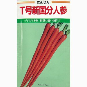 ɂ񂶂  y TV z q ܁i1dlj i   ؎q ؎ j