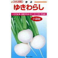 カブ 種 【 ゆきわらし 】 種子 コート5千粒 （ 種 野菜 野菜種子 野菜種 ）