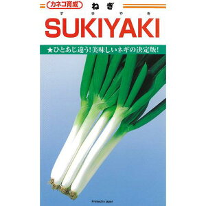 lM  y lMSUKIYAKI z q R[g5痱 i   ؎q ؎ j