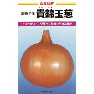 ܂˂  yɑM (ɂ)z 20ml i   ؎q ؎ j