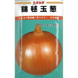 ܂˂  yџ{ (񂫂イ)z 20ml i   ؎q ؎ j