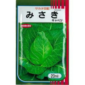キャベツ 種 【 みさき 】 種子 20ml （ 種 野菜 野菜種子 野菜種 ）