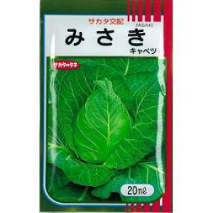 キャベツ 種 【 みさき 】 種子 20ml ( 種 野菜 野菜種子 野菜種 )