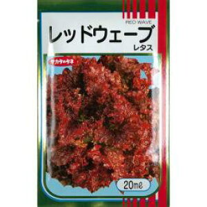 ^X  y bhEF[u z q ܁i20mlj i   ؎q ؎ j 