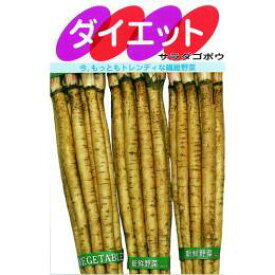 ごぼう 種 【 サラダごぼうダイエット 】 種子 小袋（約20ml） （ 種 野菜 野菜種子 野菜種 ） ★