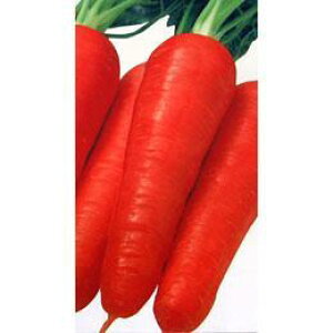 ɂ񂶂  y z z q L1 i   ؎q ؎ j 