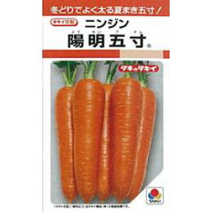 ɂ񂶂  y zܐ z q L1 i   ؎q ؎ j