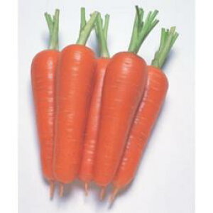 ɂ񂶂  y  z q ybgꖜ i   ؎q ؎ j