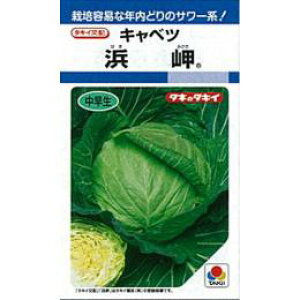 Lxc  y l z q L5痱 i   ؎q ؎ j