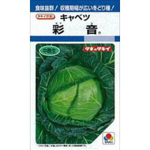 Lxc  y ʉ z q L5痱 i   ؎q ؎ j